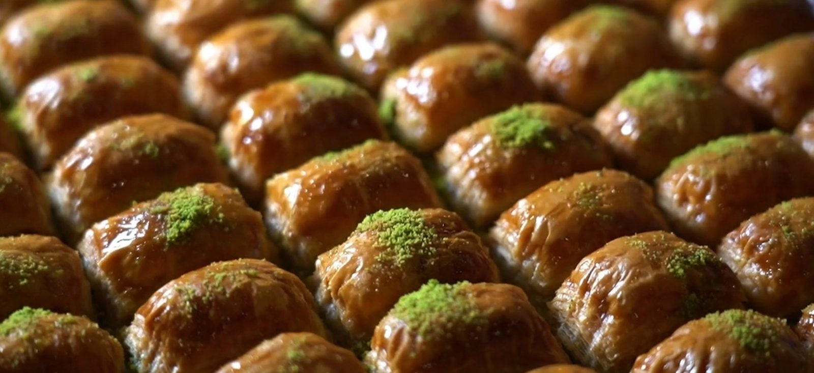 Pasha Turkish Restaurant photo